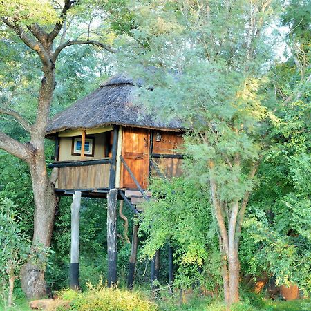 Ivory Lodge Dete Luaran gambar