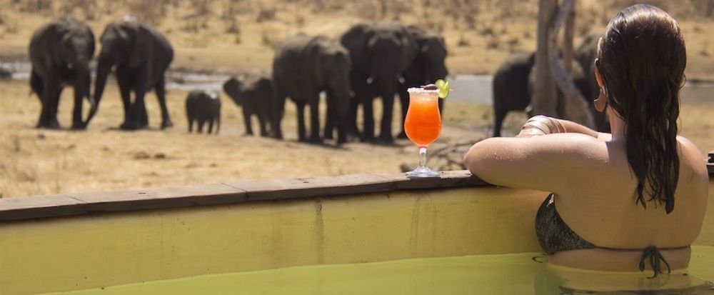 Ivory Lodge Dete Luaran gambar