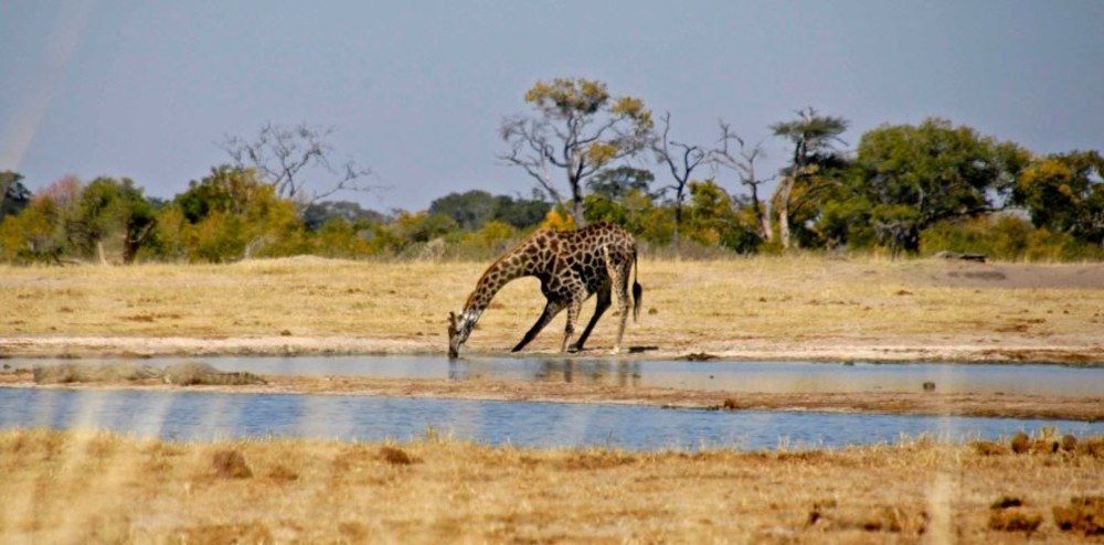Ivory Lodge Dete Luaran gambar
