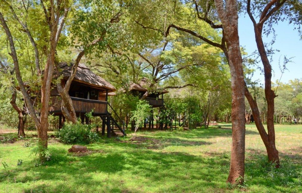 Ivory Lodge Dete Luaran gambar