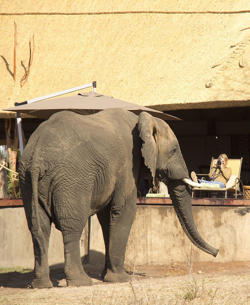Ivory Lodge Dete Luaran gambar