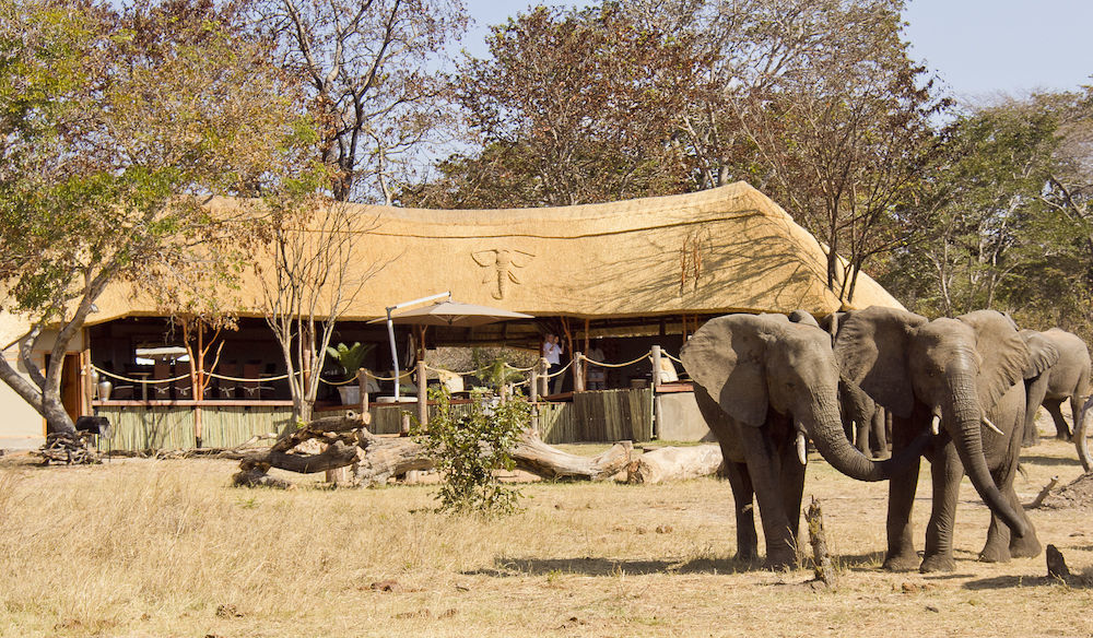 Ivory Lodge Dete Luaran gambar