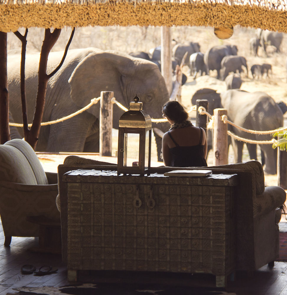 Ivory Lodge Dete Luaran gambar
