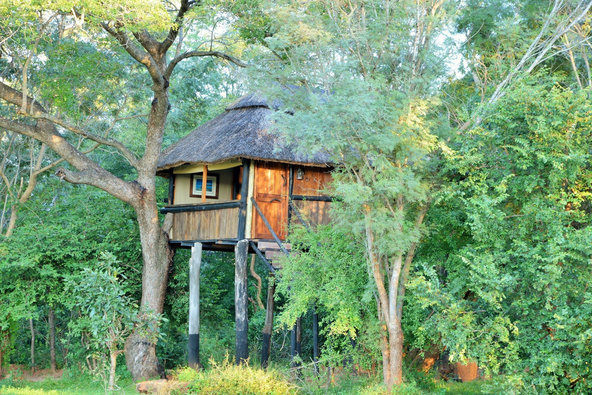 Ivory Lodge Dete Luaran gambar